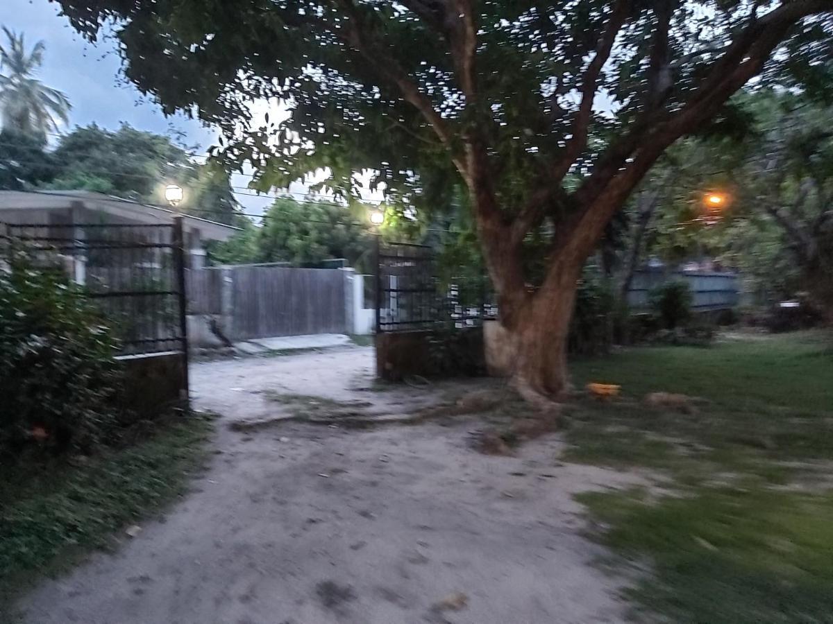 圣卡洛斯Sweet Dreams住宿加早餐旅馆 外观 照片