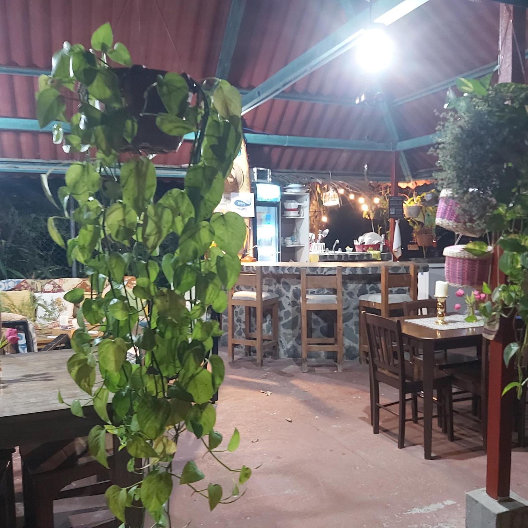 圣卡洛斯Sweet Dreams住宿加早餐旅馆 外观 照片