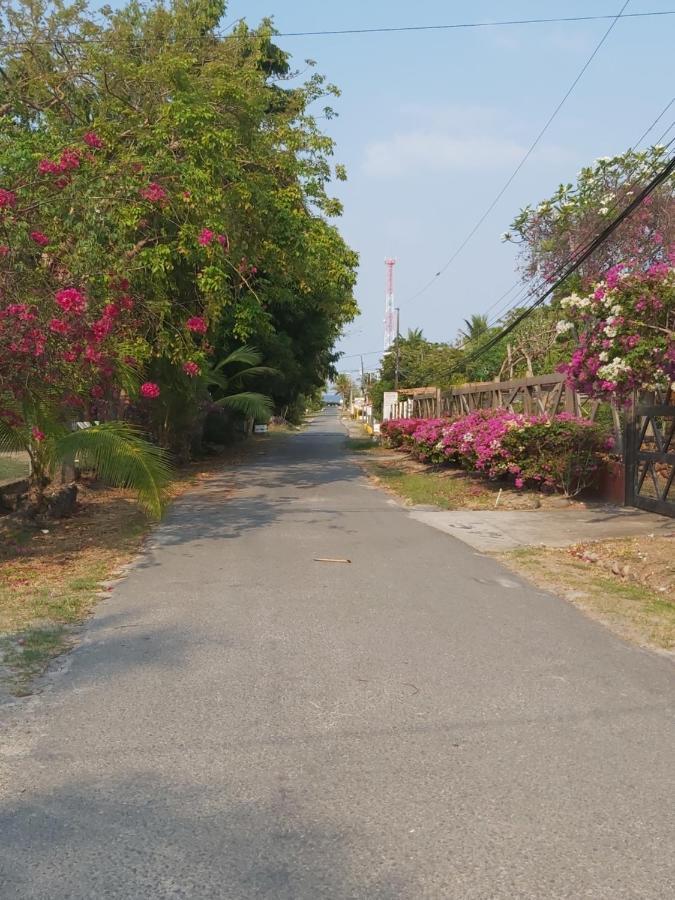 圣卡洛斯Sweet Dreams住宿加早餐旅馆 外观 照片